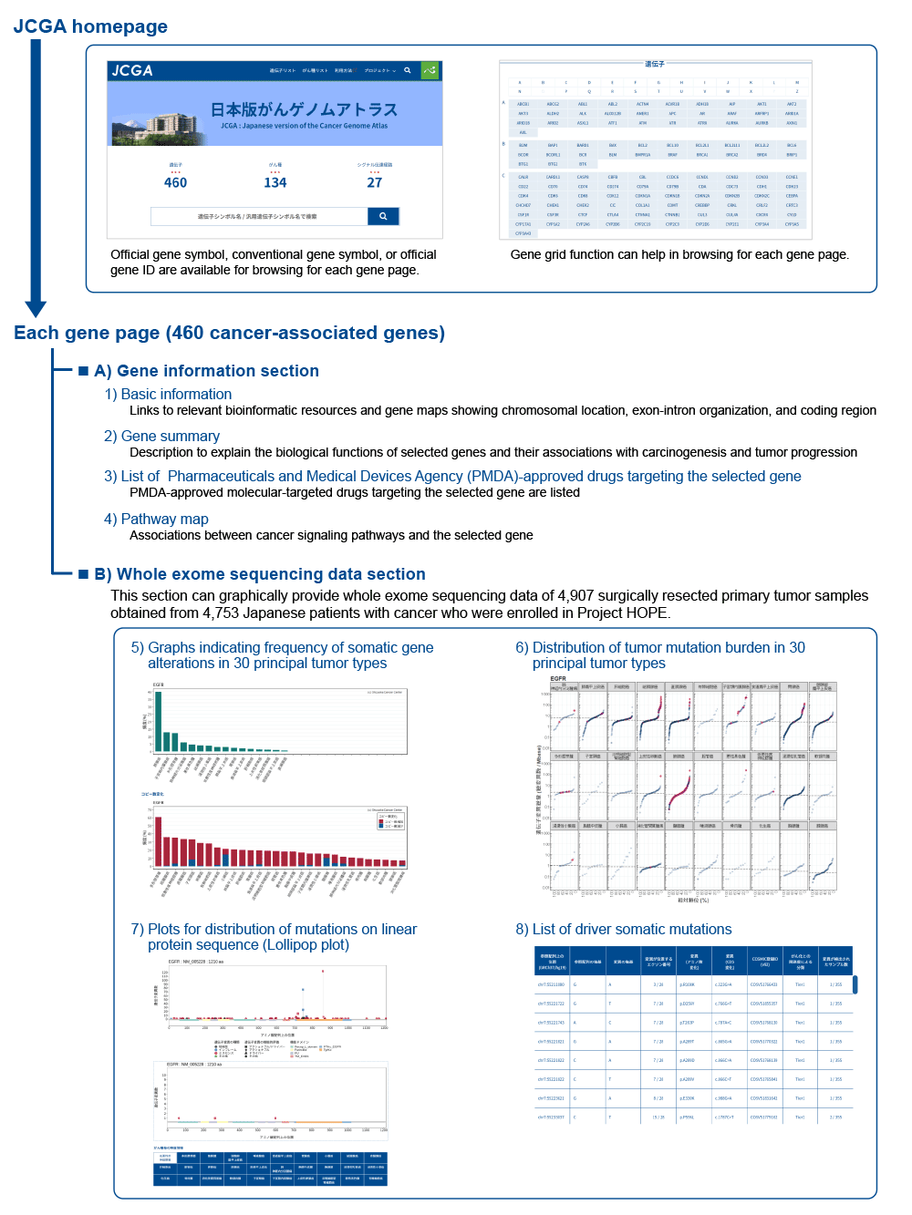 nnouncement of the release plan for the English version of the JCGA database in 2022