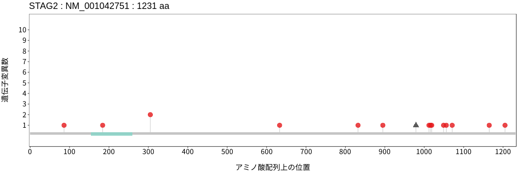 コヒーシン